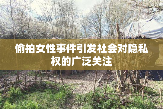 偷拍女性事件引发社会对隐私权的广泛关注