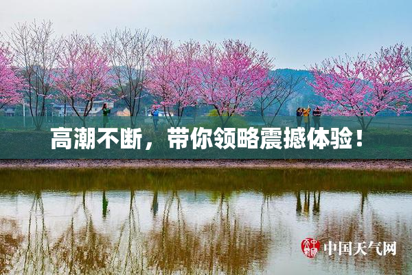 高潮不断，带你领略震撼体验！