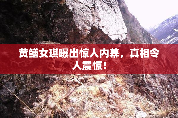 黄鳝女琪曝出惊人内幕，真相令人震惊！