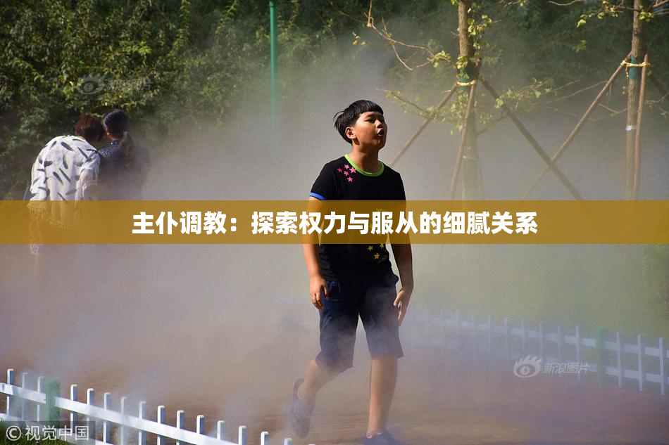 主仆调教：探索权力与服从的细腻关系