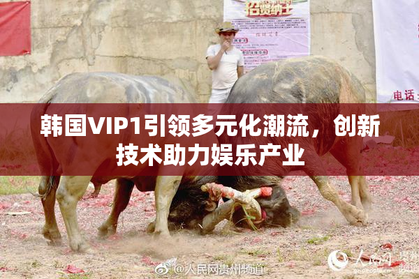韩国VIP1引领多元化潮流，创新技术助力娱乐产业