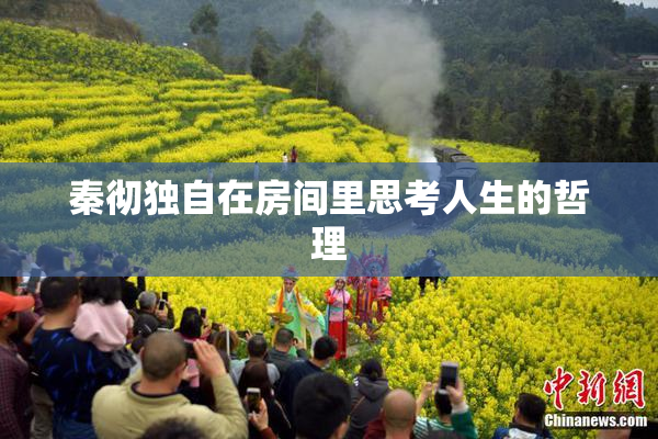 秦彻独自在房间里思考人生的哲理