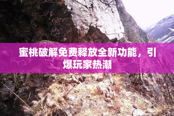 蜜桃破解免费释放全新功能，引爆玩家热潮