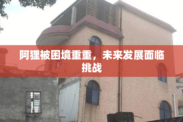 阿狸被困境重重，未来发展面临挑战