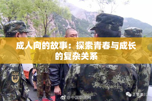 成人向的故事：探索青春与成长的复杂关系