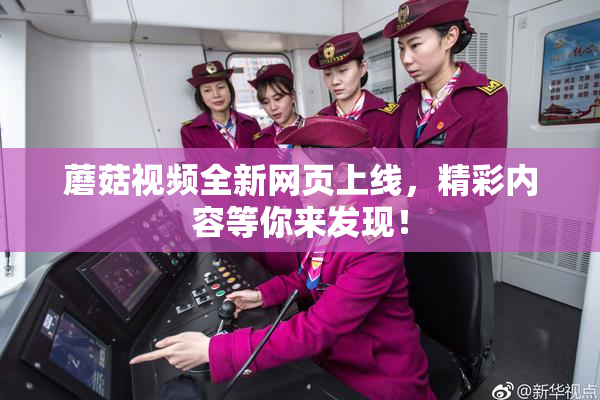 蘑菇视频全新网页上线，精彩内容等你来发现！