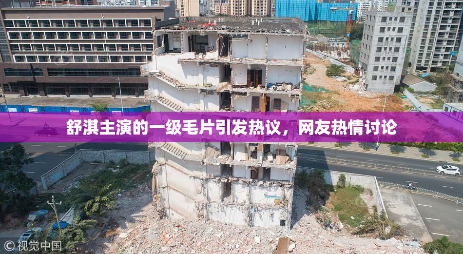 舒淇主演的一级毛片引发热议，网友热情讨论