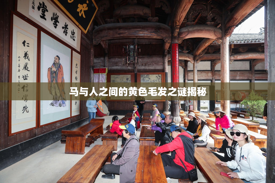 马与人之间的黄色毛发之谜揭秘