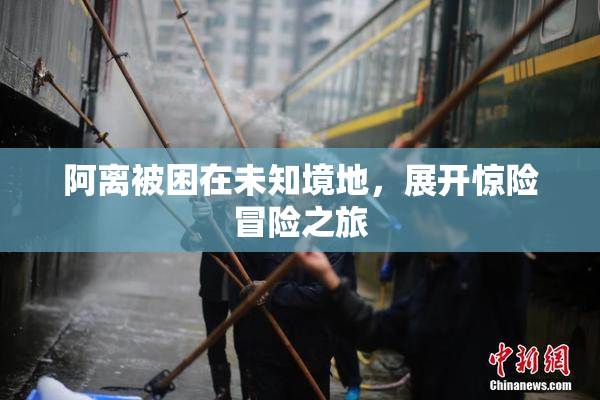 阿离被困在未知境地，展开惊险冒险之旅