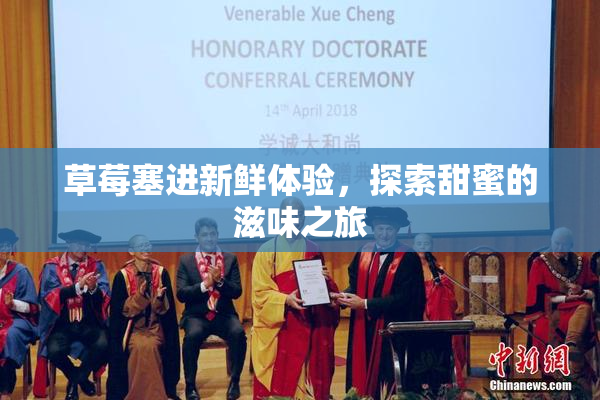 草莓塞进新鲜体验，探索甜蜜的滋味之旅