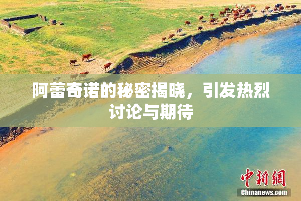阿蕾奇诺的秘密揭晓，引发热烈讨论与期待
