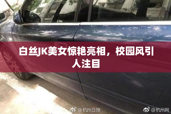 白丝JK美女惊艳亮相，校园风引人注目