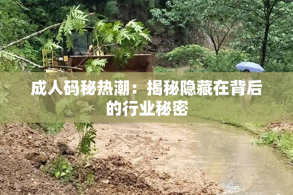 成人码秘热潮：揭秘隐藏在背后的行业秘密