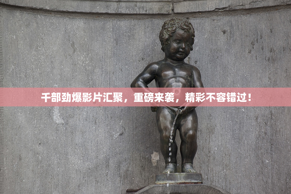 千部劲爆影片汇聚，重磅来袭，精彩不容错过！