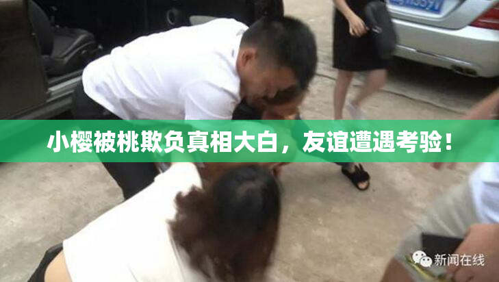 小樱被桃欺负真相大白，友谊遭遇考验！