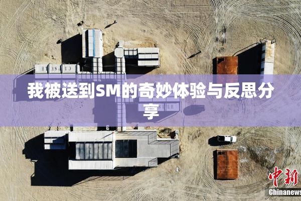 我被送到SM的奇妙体验与反思分享