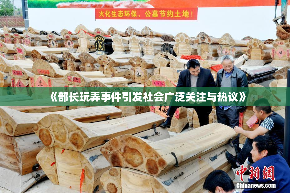 《部长玩弄事件引发社会广泛关注与热议》