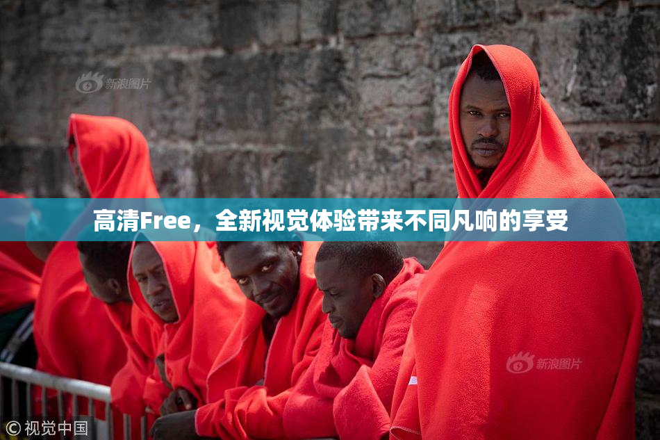 高清Free，全新视觉体验带来不同凡响的享受
