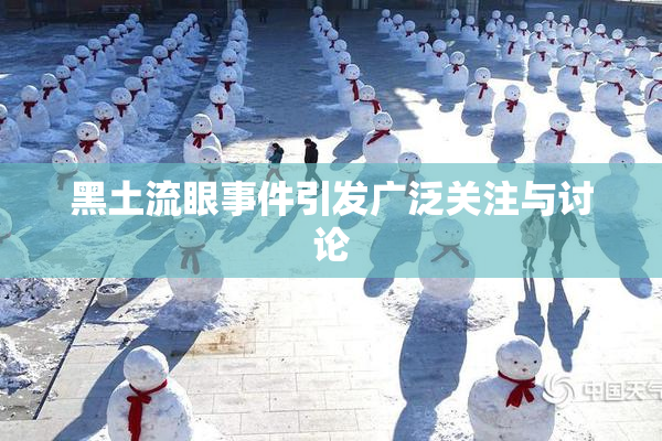 黑土流眼事件引发广泛关注与讨论