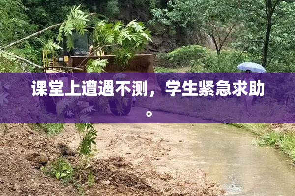 课堂上遭遇不测，学生紧急求助。