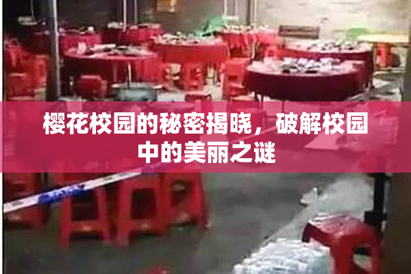 樱花校园的秘密揭晓，破解校园中的美丽之谜