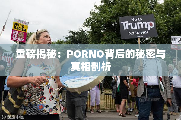 重磅揭秘：PORNO背后的秘密与真相剖析