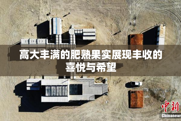 高大丰满的肥熟果实展现丰收的喜悦与希望