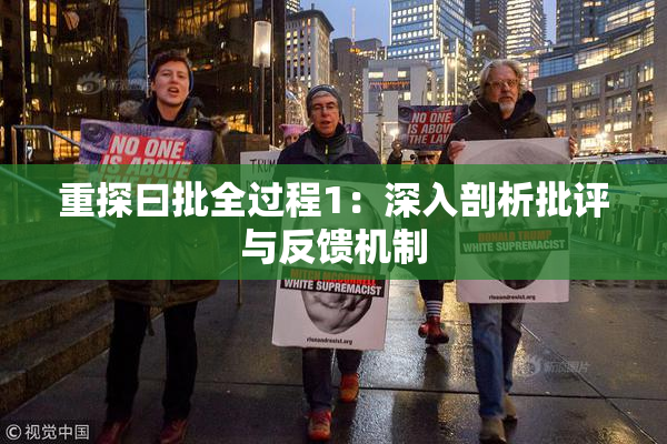 重探曰批全过程1：深入剖析批评与反馈机制
