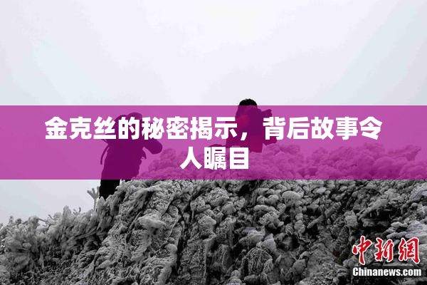 金克丝的秘密揭示，背后故事令人瞩目