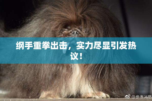 纲手重拳出击，实力尽显引发热议！