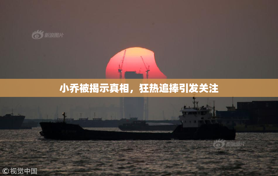 小乔被揭示真相，狂热追捧引发关注