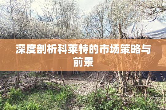 深度剖析科莱特的市场策略与前景
