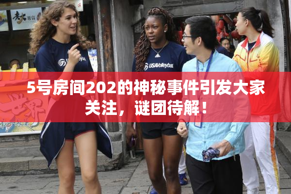 5号房间202的神秘事件引发大家关注，谜团待解！