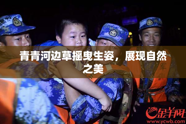 青青河边草摇曳生姿，展现自然之美