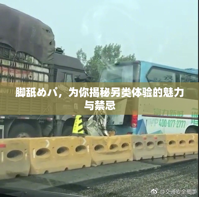 脚舐めパ，为你揭秘另类体验的魅力与禁忌