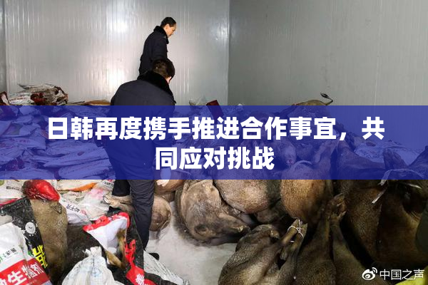 日韩再度携手推进合作事宜，共同应对挑战