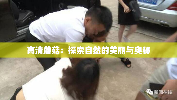 高清蘑菇：探索自然的美丽与奥秘