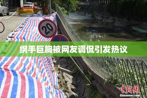 纲手巨胸被网友调侃引发热议