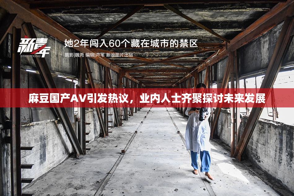 麻豆国产AV引发热议，业内人士齐聚探讨未来发展