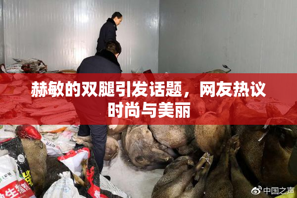 赫敏的双腿引发话题，网友热议时尚与美丽
