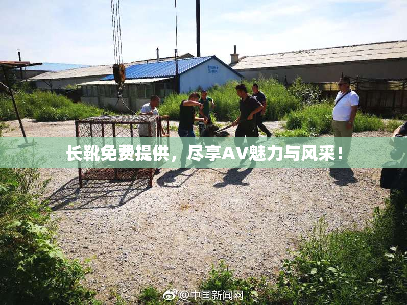 长靴免费提供，尽享AV魅力与风采！