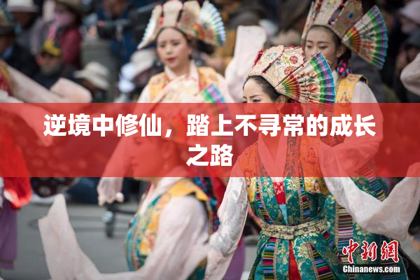 逆境中修仙，踏上不寻常的成长之路