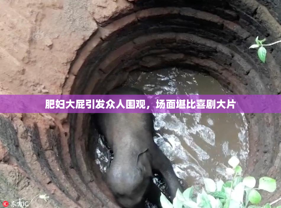 肥妇大屁引发众人围观，场面堪比喜剧大片
