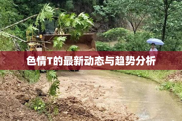 色情T的最新动态与趋势分析