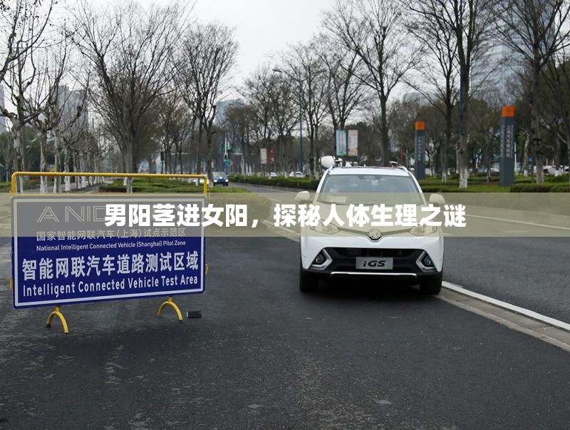男阳茎进女阳，探秘人体生理之谜
