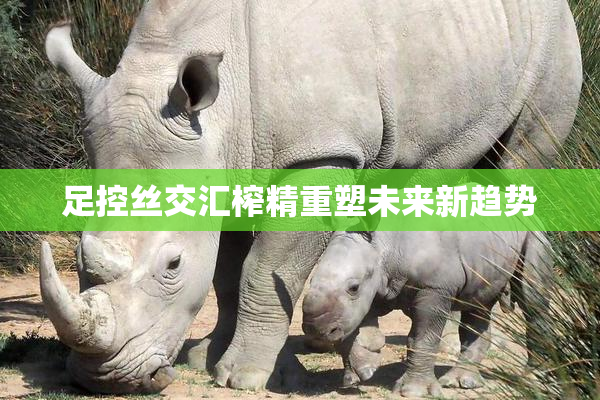 足控丝交汇榨精重塑未来新趋势