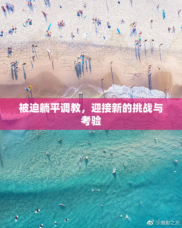 被迫躺平调教，迎接新的挑战与考验