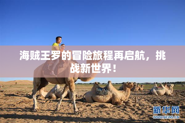 海贼王罗的冒险旅程再启航，挑战新世界！