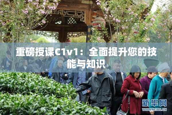重磅授课C1v1：全面提升您的技能与知识