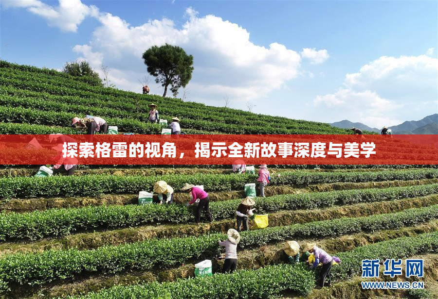 探索格雷的视角，揭示全新故事深度与美学